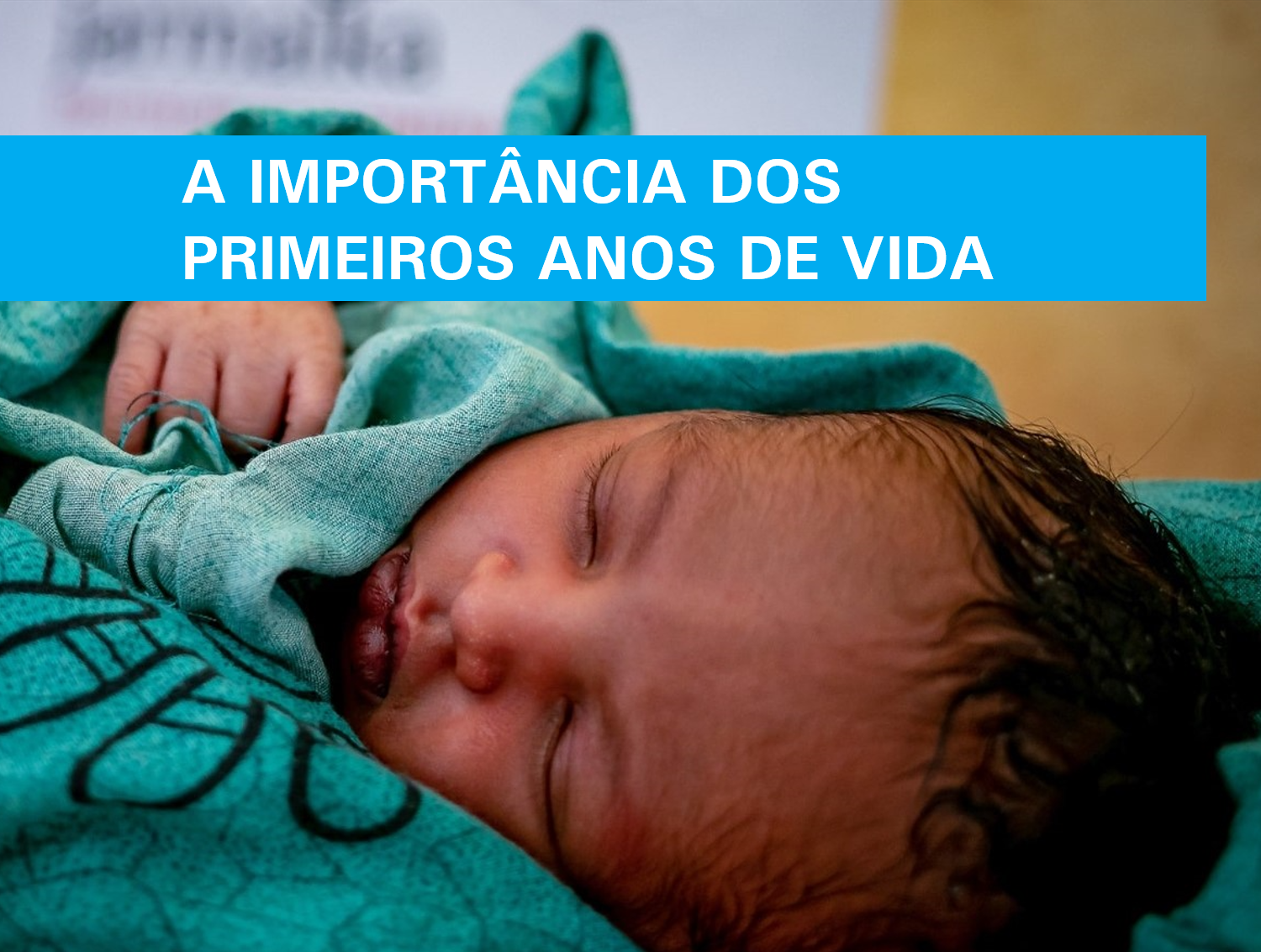 A Importância dos Primeiros Anos de Vida 