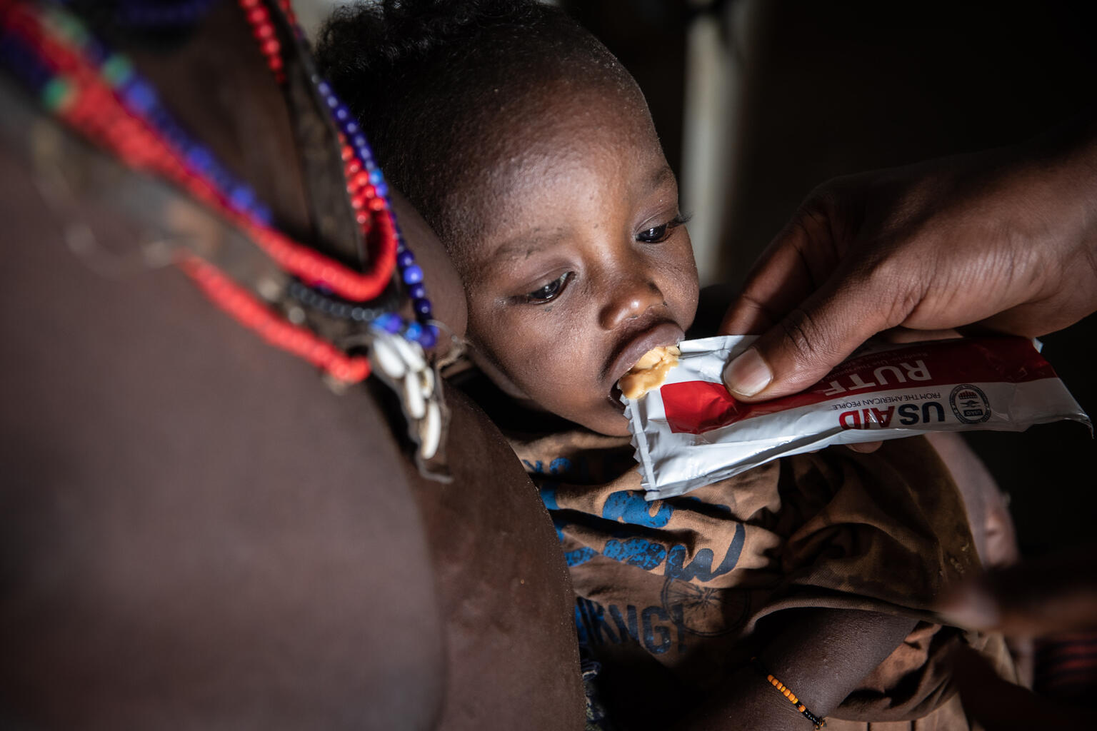 The State of Food Security and Nutrition in the World 2022