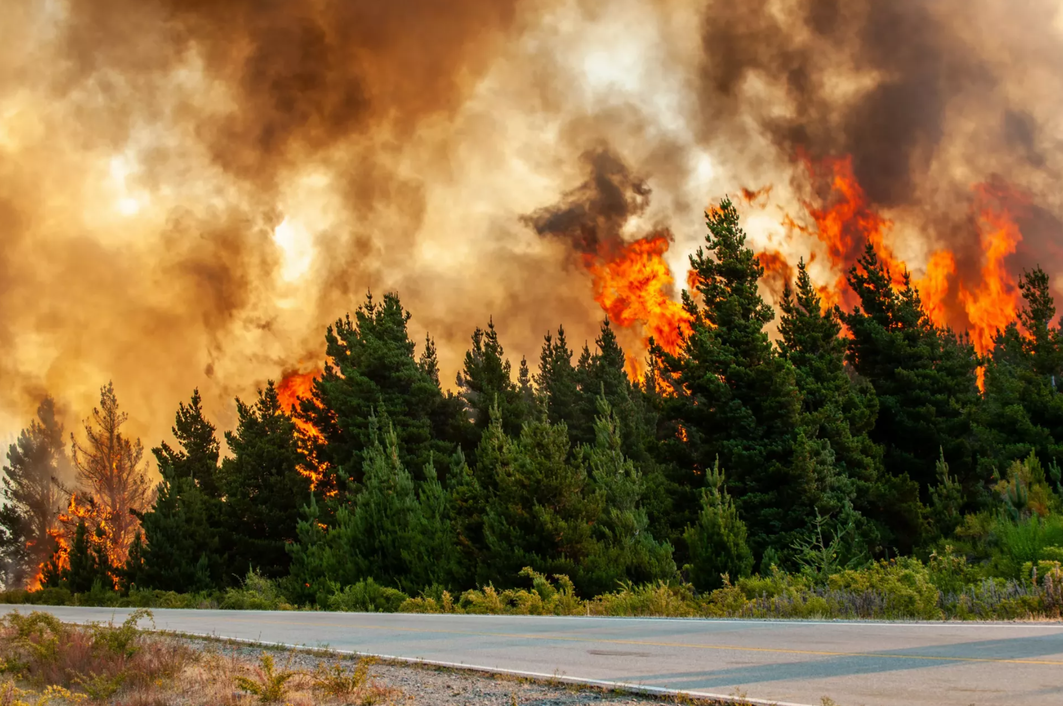 Como proteger as crianças em caso de incêndio 